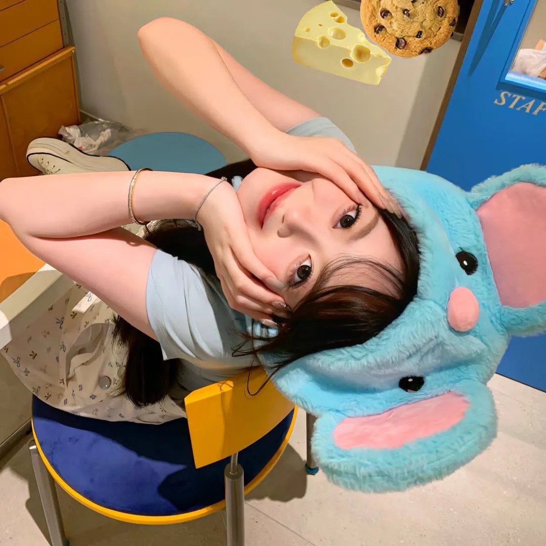 来自收容所的爱