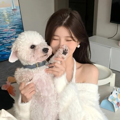 送赞雪橇犬