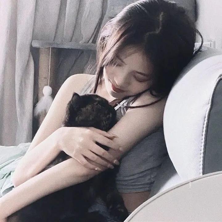廉政追缉令 粤语