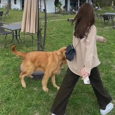 怯懦的勇气