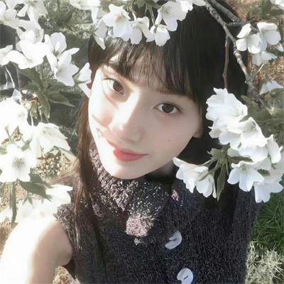 碧窗艳影
